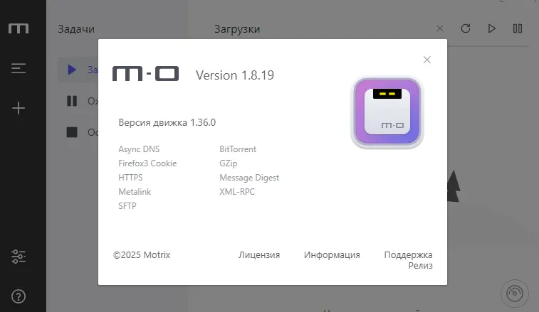 О программе Motrix
