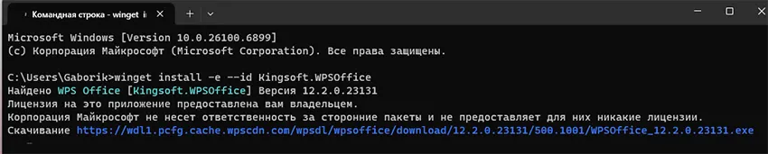 Установка через Winget